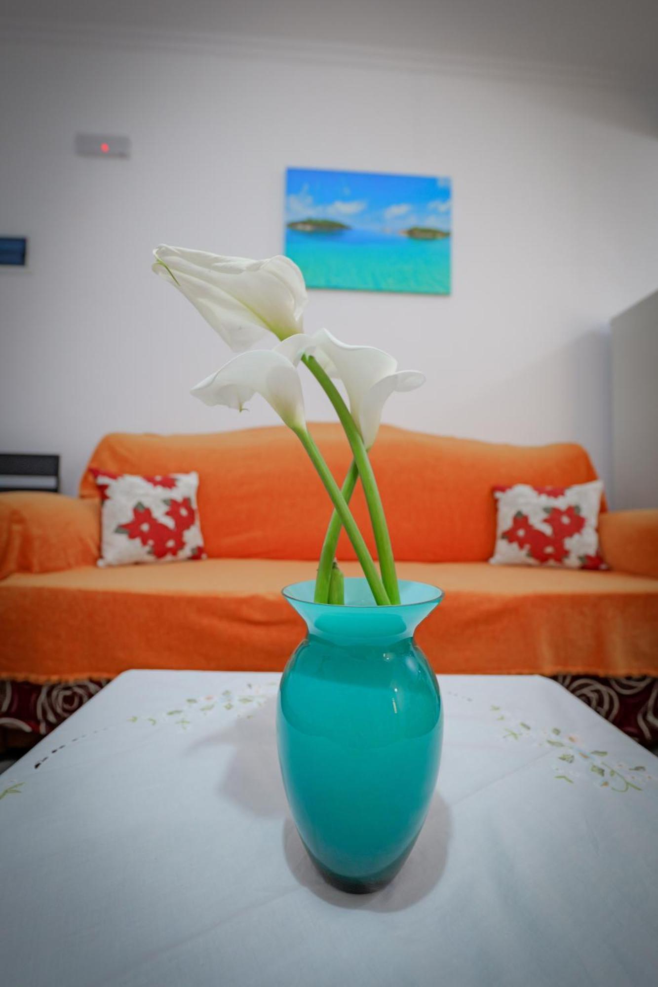 Agur Kapo Apartament *