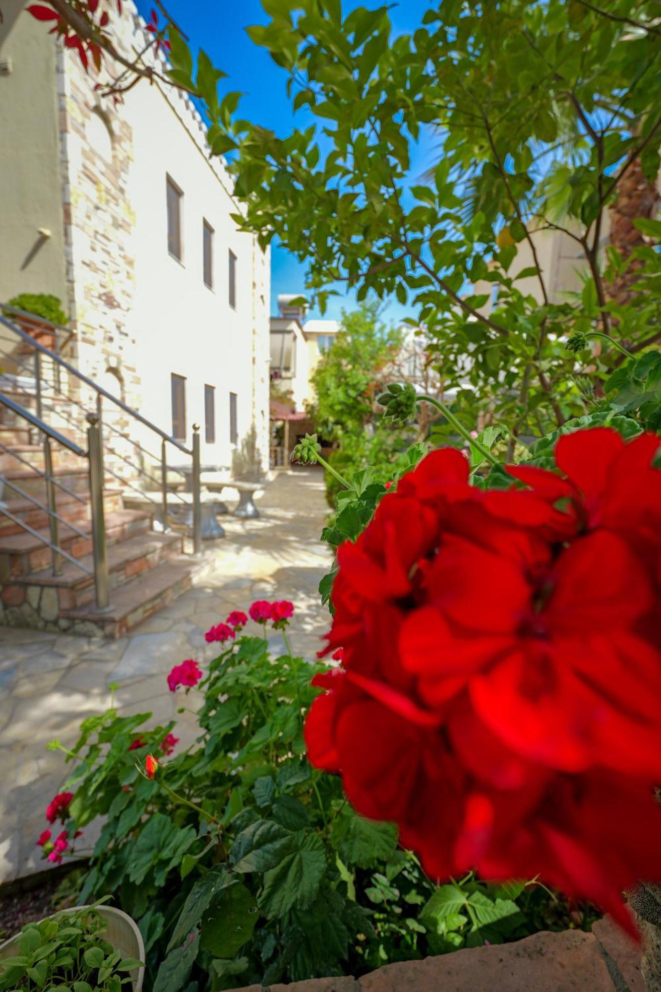 Apartament Agur Kapo Ksamil